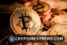 cryptonestnews Editorial Team